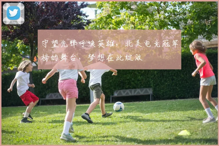 守望先锋呼唤英雄，北美电竞冠军榜的舞台，梦想在此绽放