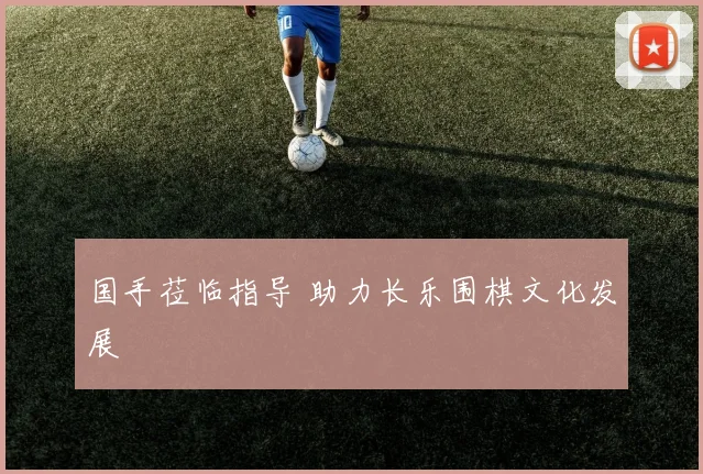国手莅临指导 助力长乐围棋文化发展